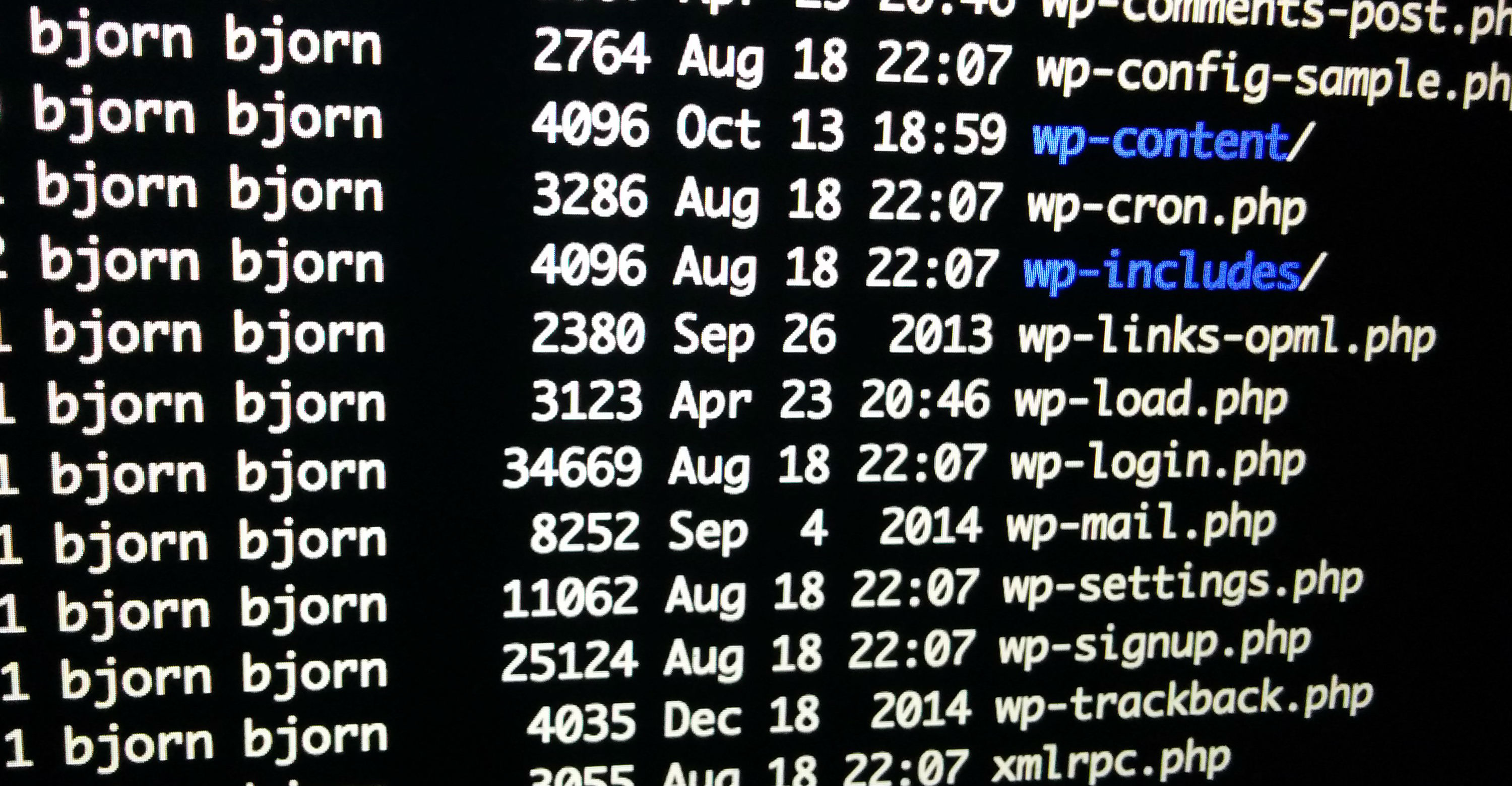 wordpress-files