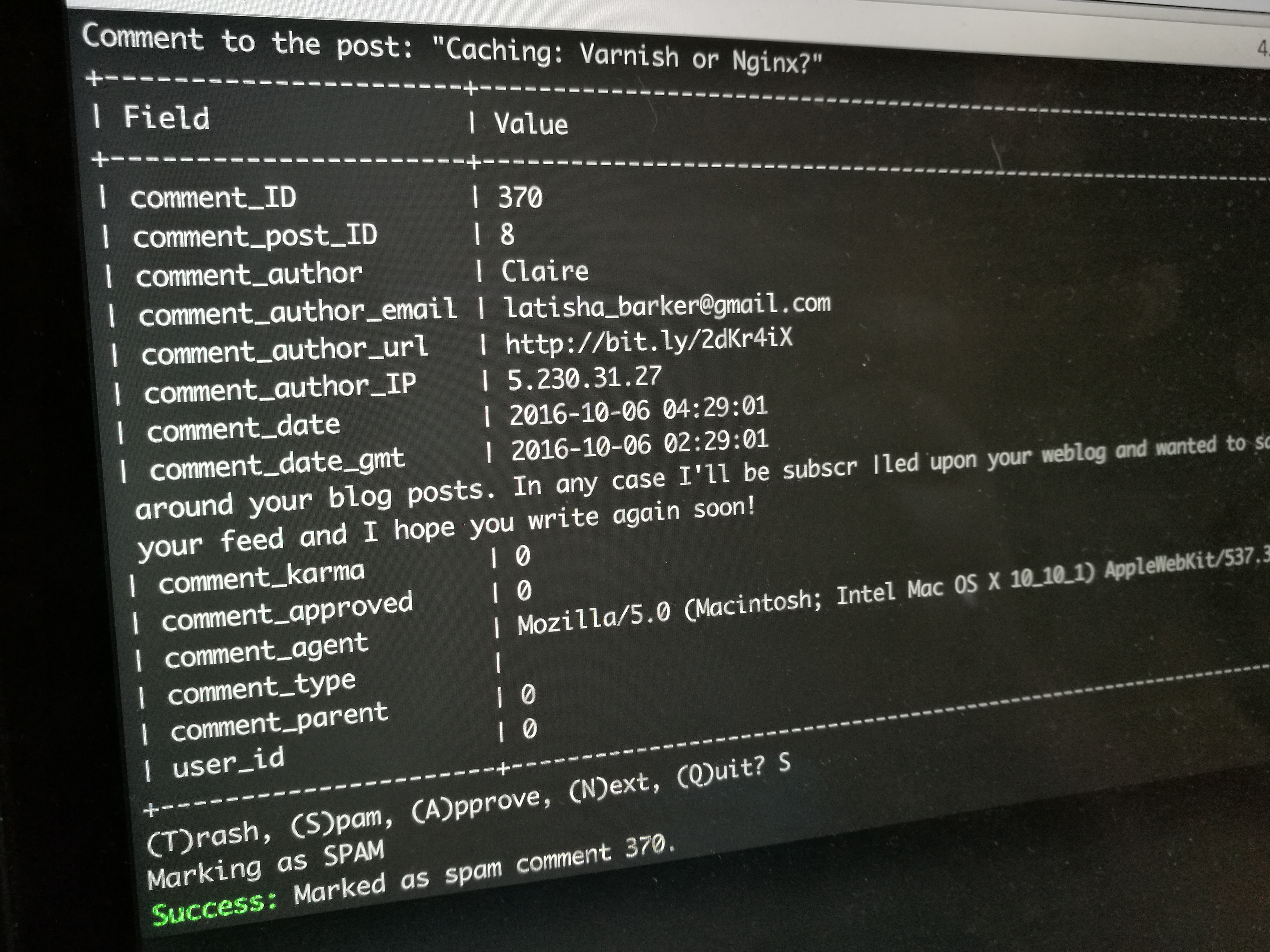 Moderate comments with WP-CLI