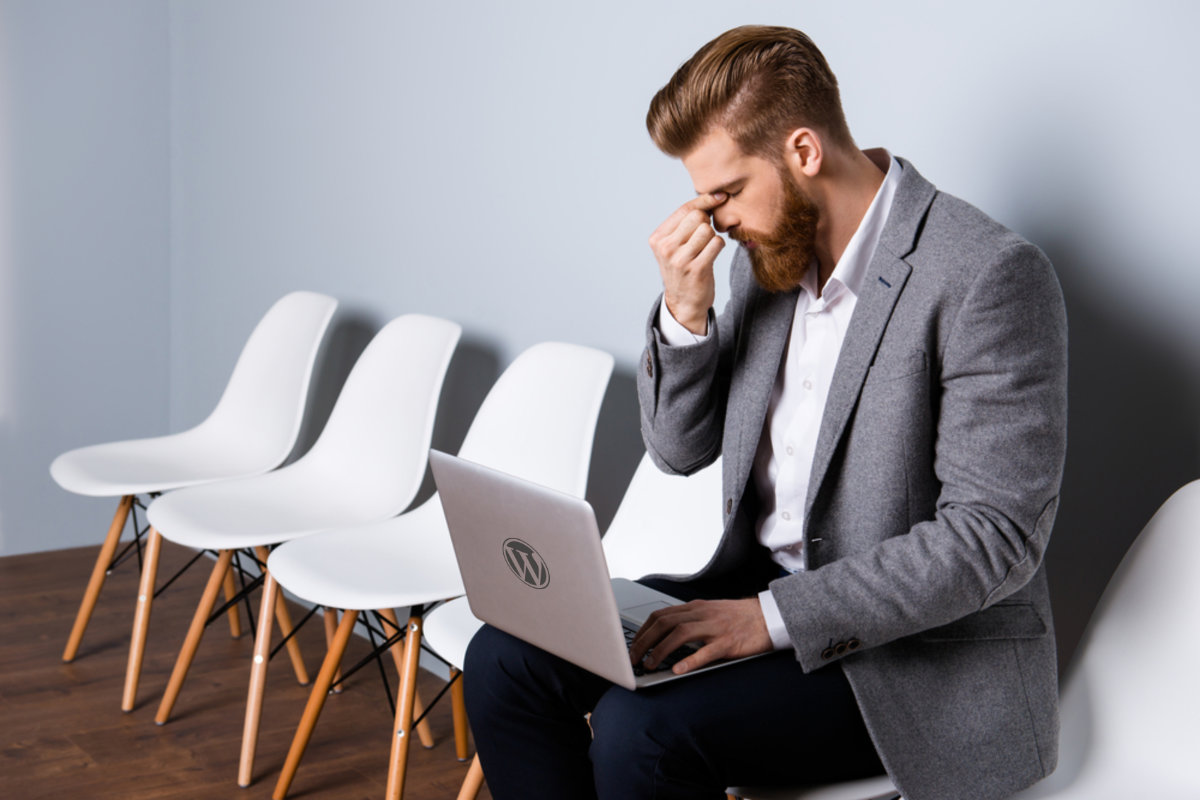 clever-wordpress-translations