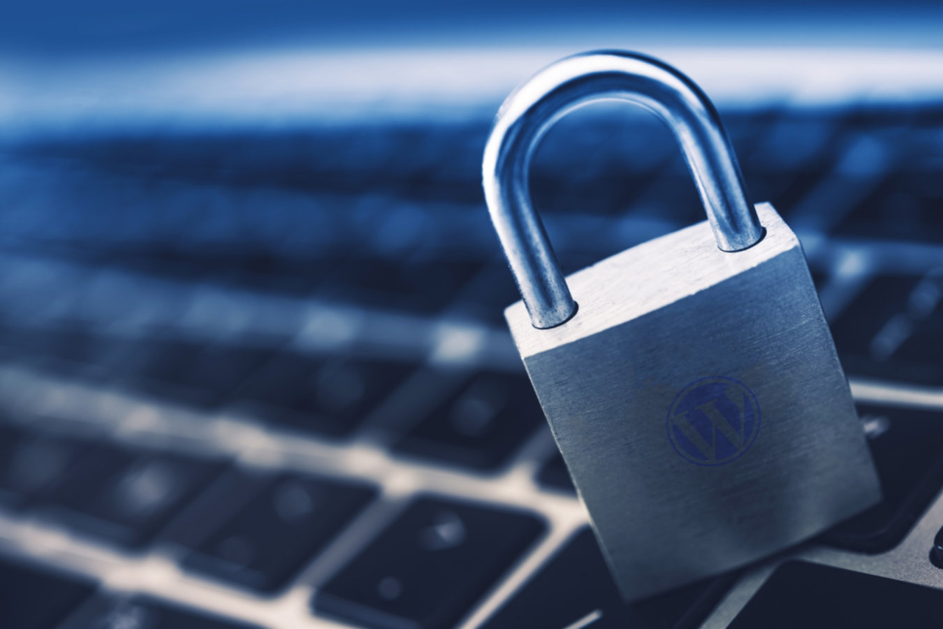 wordpress-security-budget